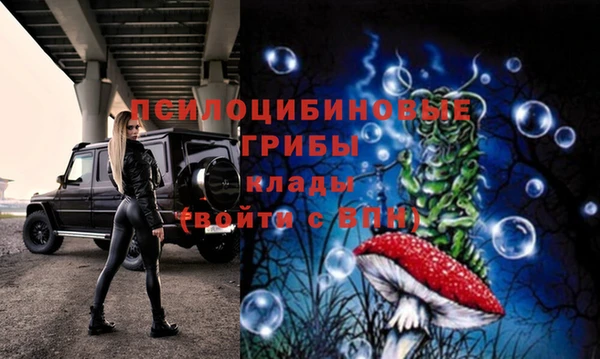 стаф Алексеевка