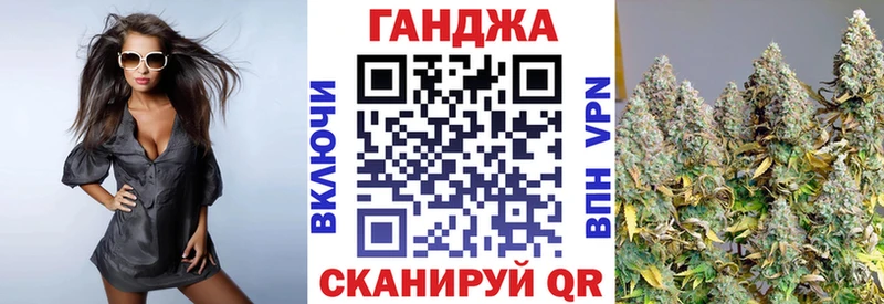 как найти наркотики  Боровичи  Бошки марихуана планчик 